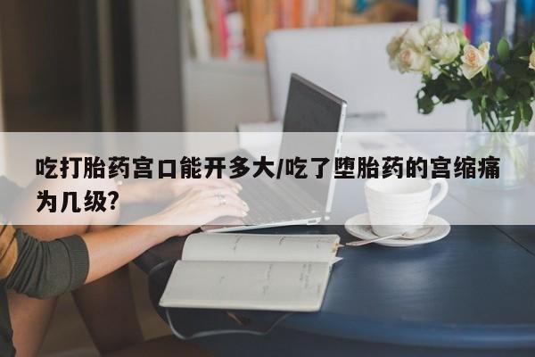 哪里可以买到打胎药吃打胎药宫口能开多大/吃了堕胎药的宫缩痛为几级?