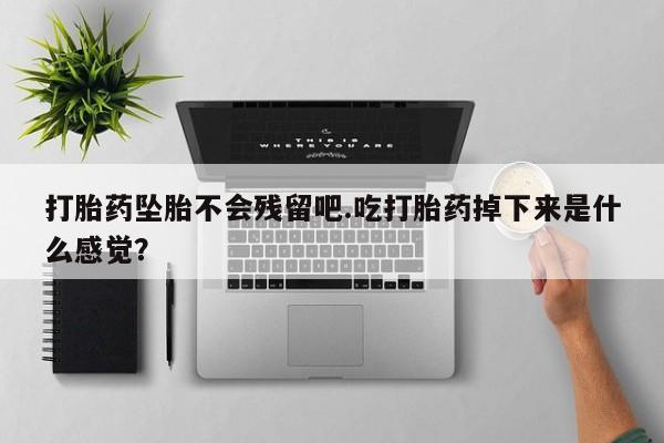 哪里可以买到打胎药打胎药坠胎不会残留吧.吃打胎药掉下来是什么感觉？